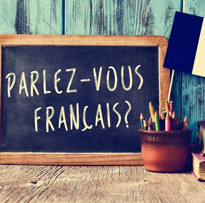 Programme français Montaigne : Maternelle - Primaire - Collège - Lycée